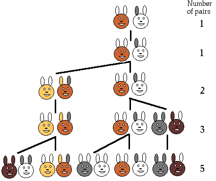 Fluffy bunnies family tree